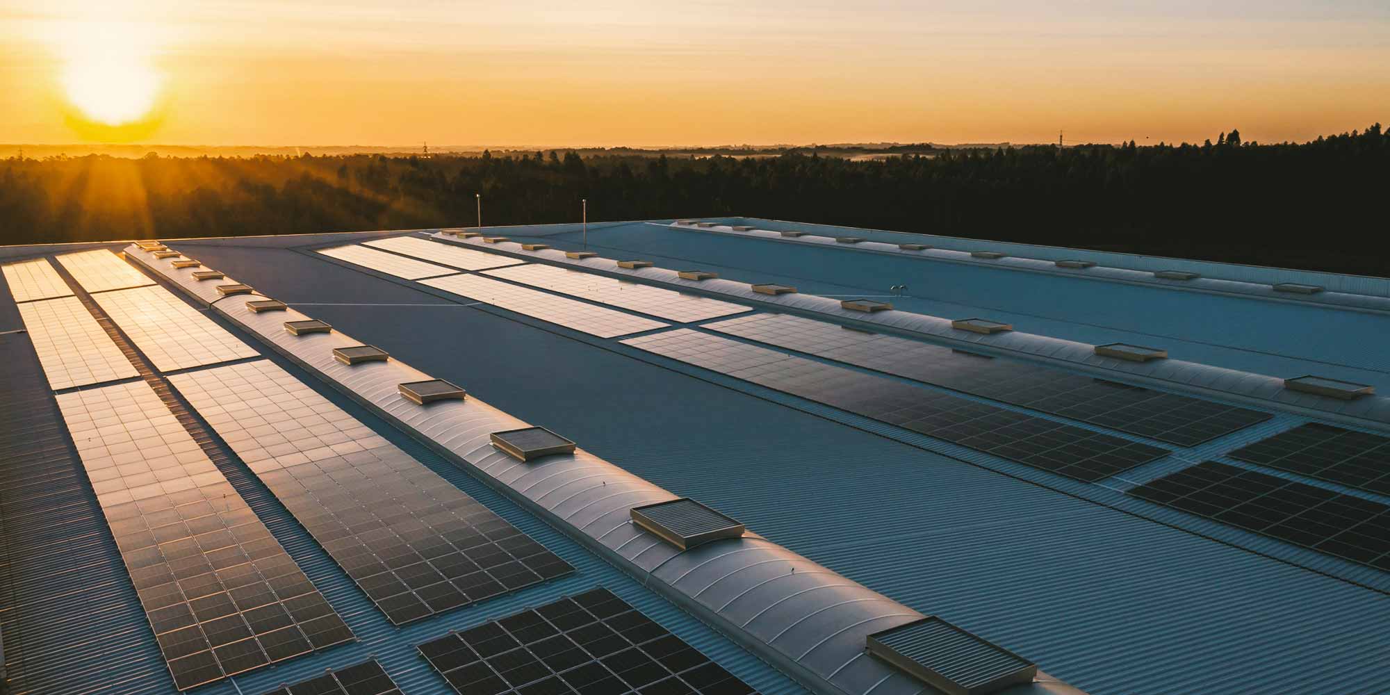 The Future of Renewable Energy in South Africa: Trends and Opportunities